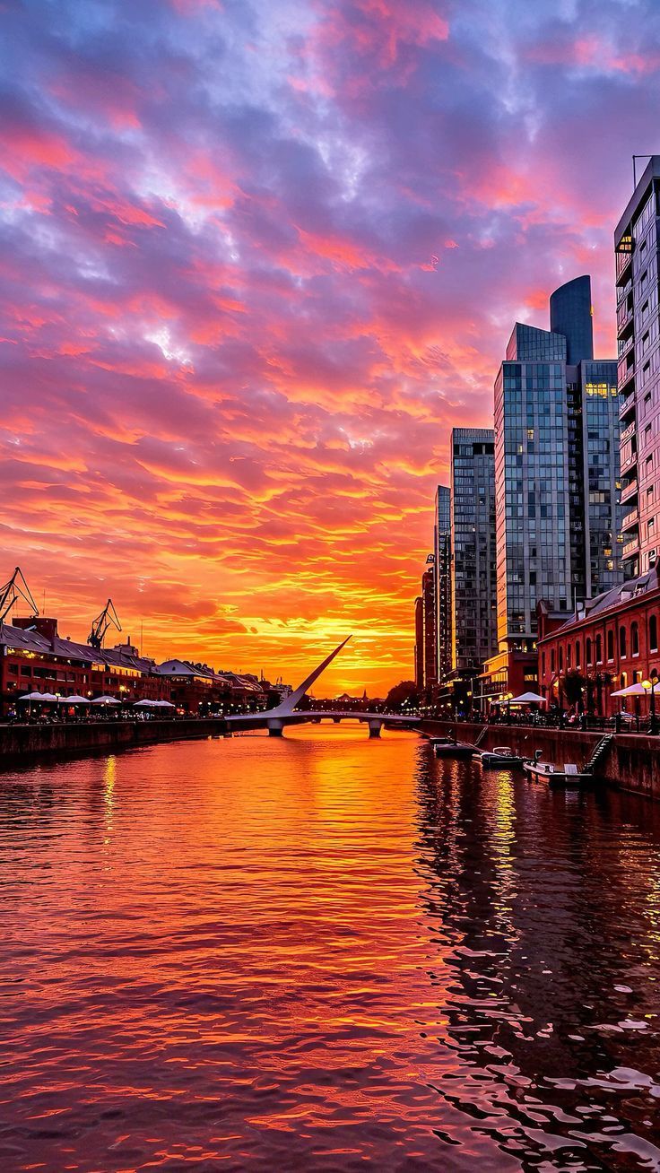 DAY TOUR EN CATAMARÁN POR ISLA MARTÍN GARCÍA : Traslado ida y vuelta + guiado + almuerzo (DESDE PUERTO MADERO)) - imagen 1