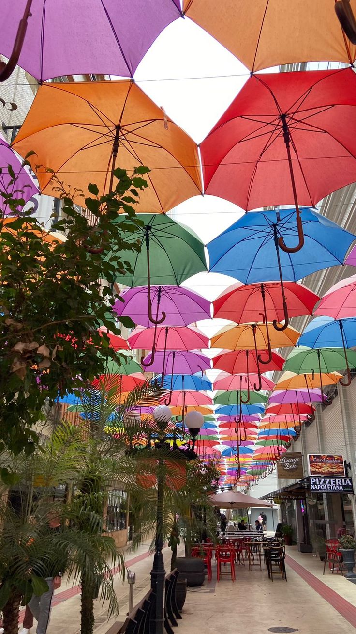CAMBORIÚ: SOL, PLAYA Y DIVERSIÓN SIN FIN - imagen 3