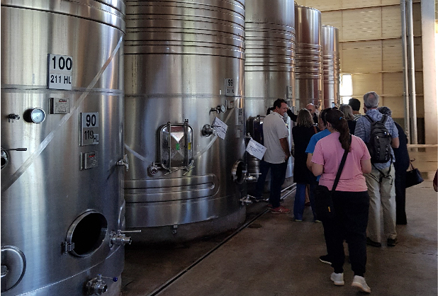 CAMINO DEL VINO LUJÁN SUR - imagen 2