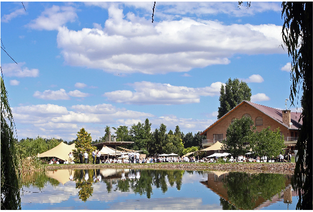 CAMINO DEL VINO LUJÁN SUR - imagen 7