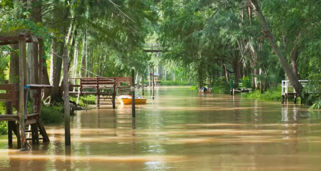 NOCHE MÁGICA A EL DELTA - imagen 3