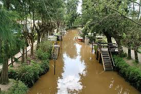NOCHE MÁGICA A EL DELTA - imagen 4